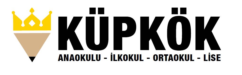 ÖZEL LİSE 